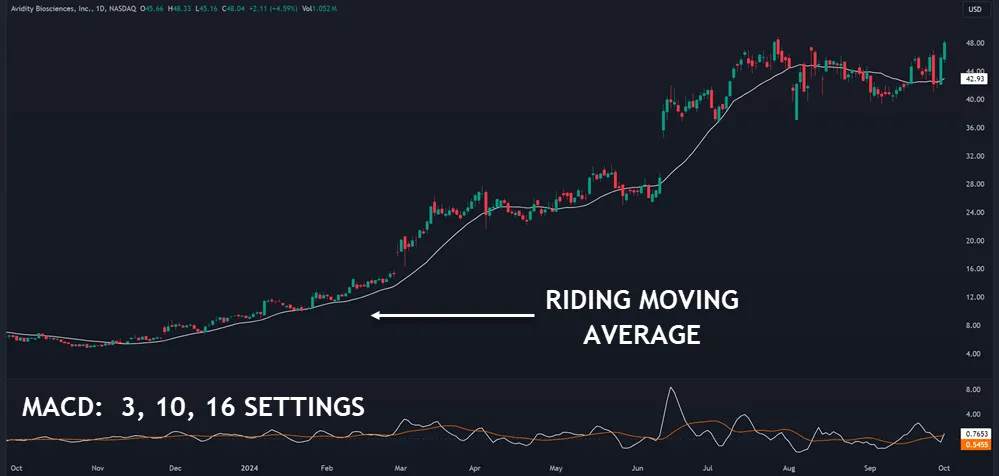 Types of Dynamic Indicators